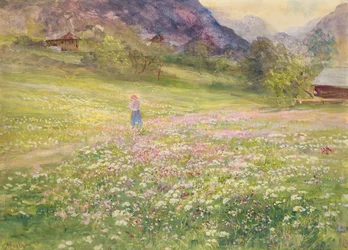 Fille dans un champ de coquelicots
